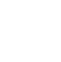 bonus2.png